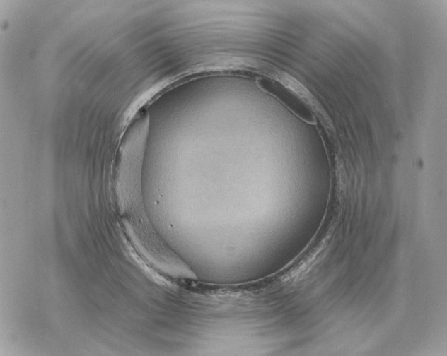 X0000070370842200607072126