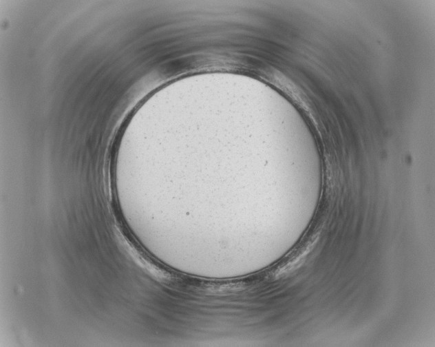 X0000070370843200607072126