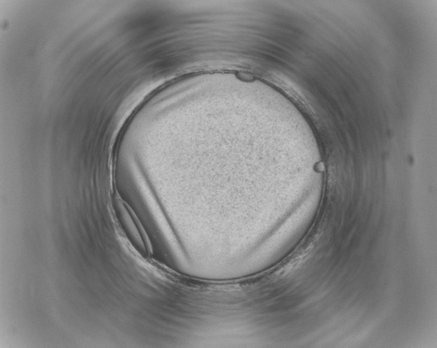 X0000070370844200607072126