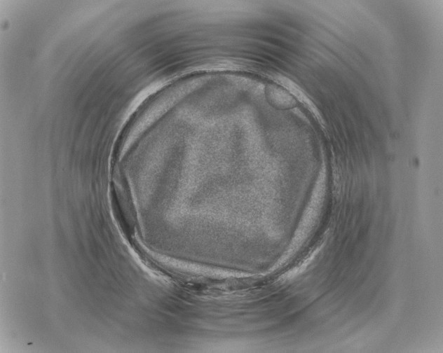 X0000070370845200607072126