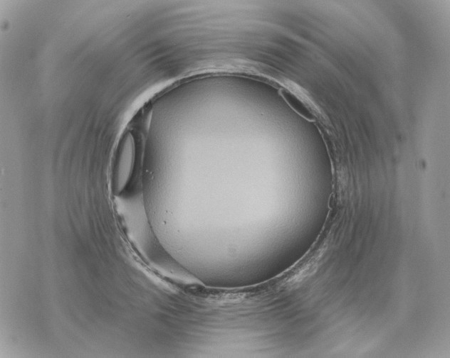 X0000070370846200607072126