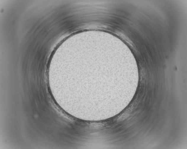 X0000070370848200607072126