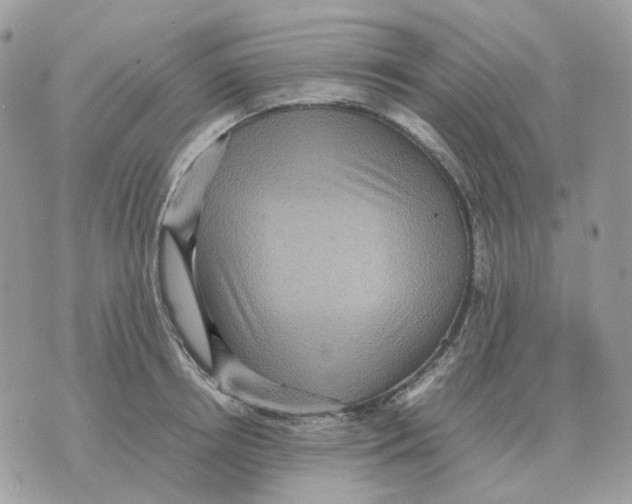 X0000070370850200607072126