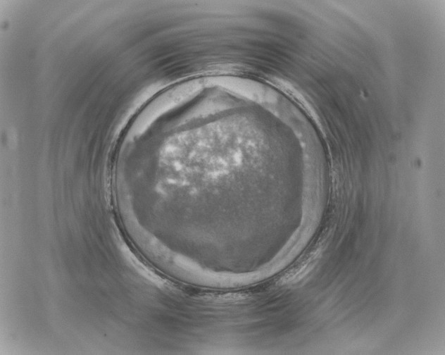 X0000070370851200607072127