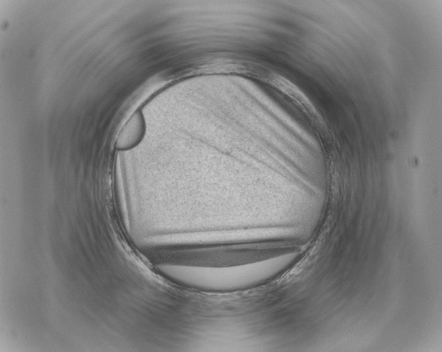 X0000070370852200607072127