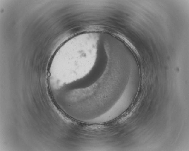 X0000070370853200607072127