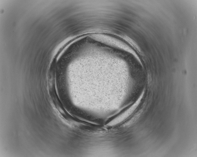 X0000070370854200607072127