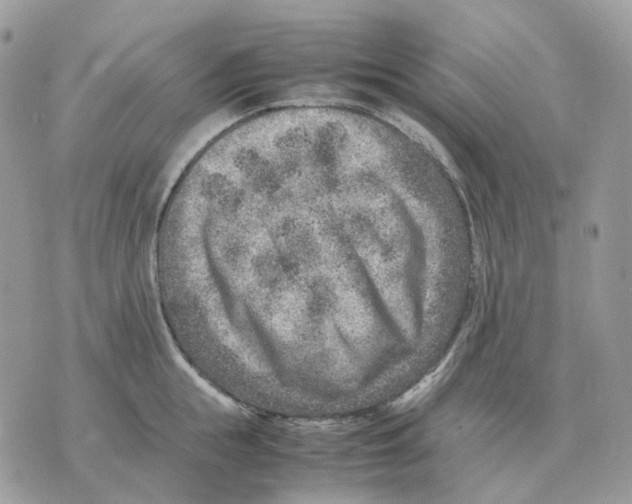 X0000070370855200607072127