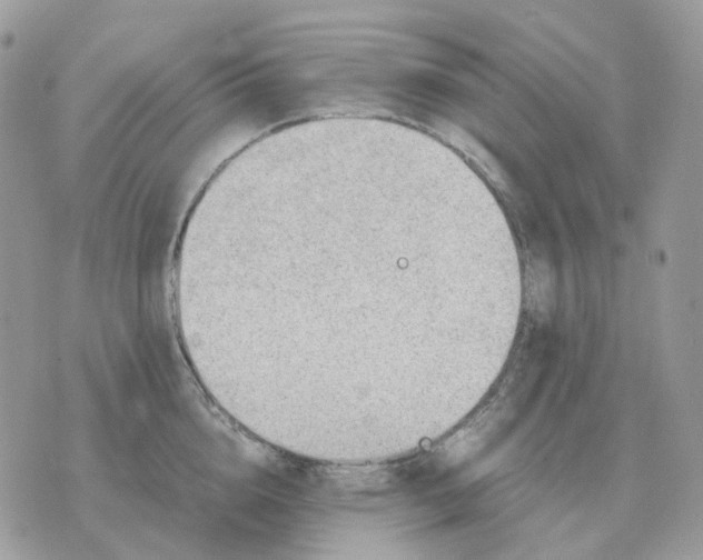 X0000070370856200607072127