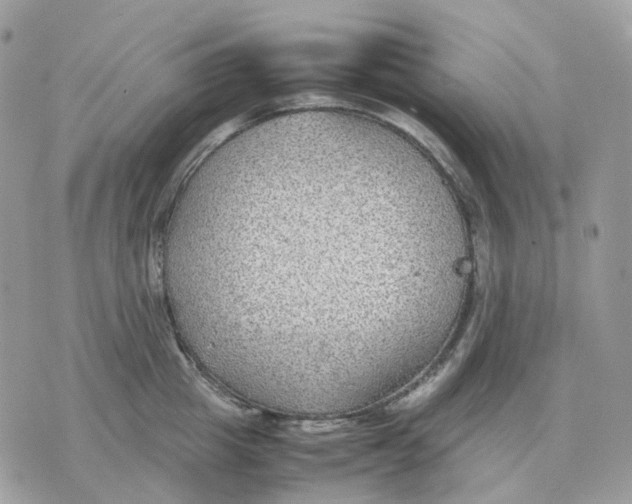 X0000070370857200607072127