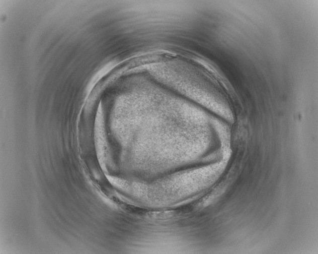 X0000070370858200607072127