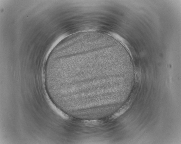 X0000070370859200607072127