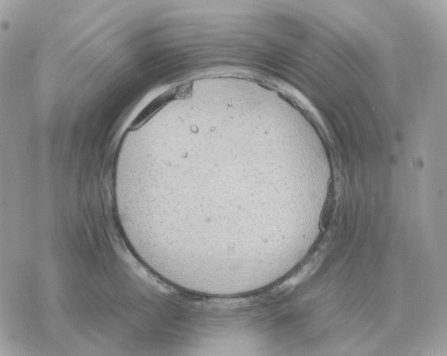 X0000070370860200607072127