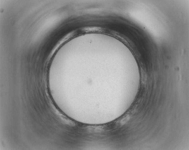 X0000070370861200607072127