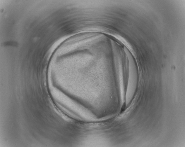 X0000070370862200607072127