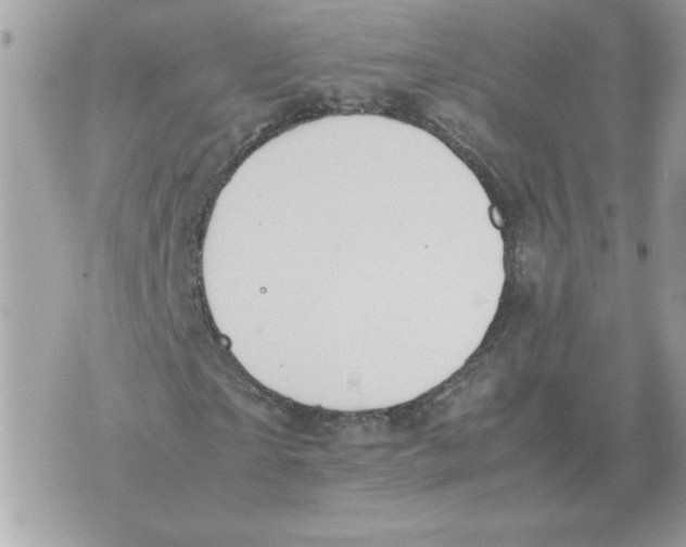 X0000070370865200607072126