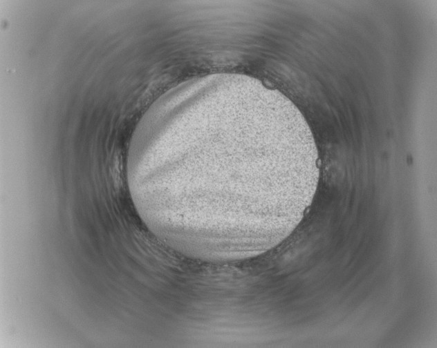 X0000070370866200607072126