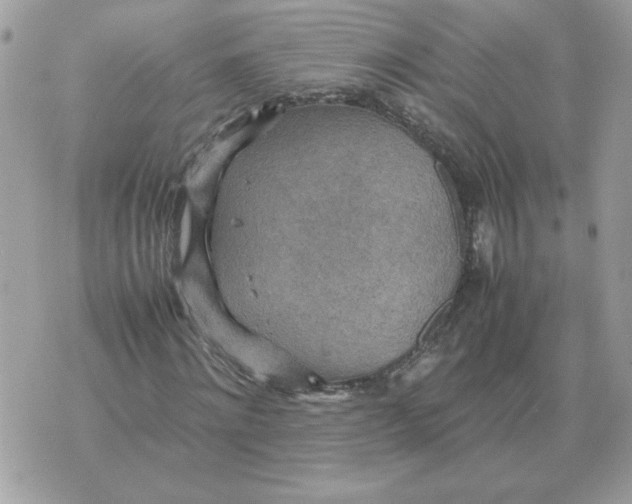 X0000070370868200607072126