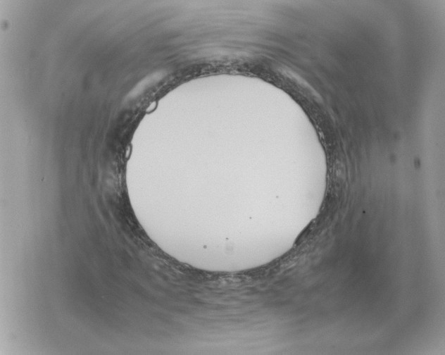 X0000070370869200607072126