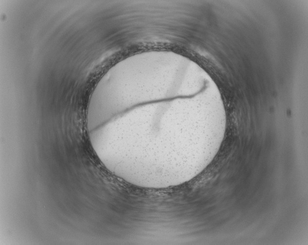 X0000070370870200607072126