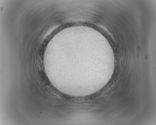 X0000070370871200607072126