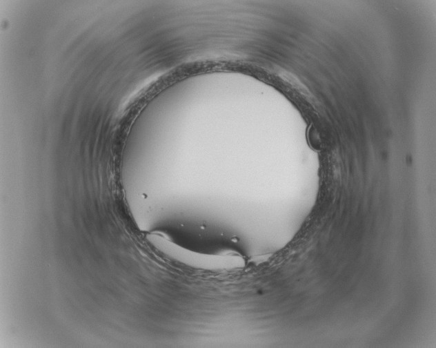 X0000070370872200607072126