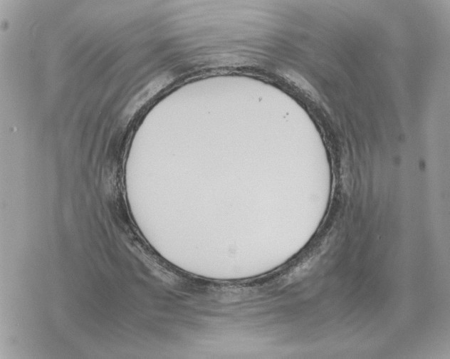 X0000070370873200607072126