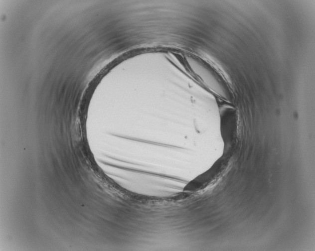 X0000070370876200607072126