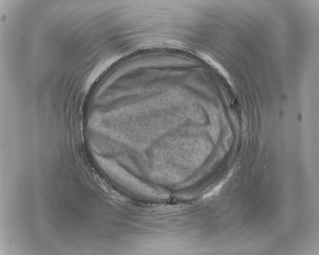 X0000070370877200607072126