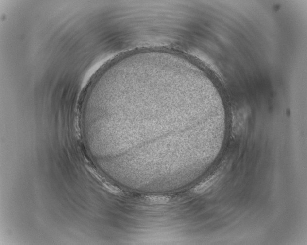 X0000070370878200607072126