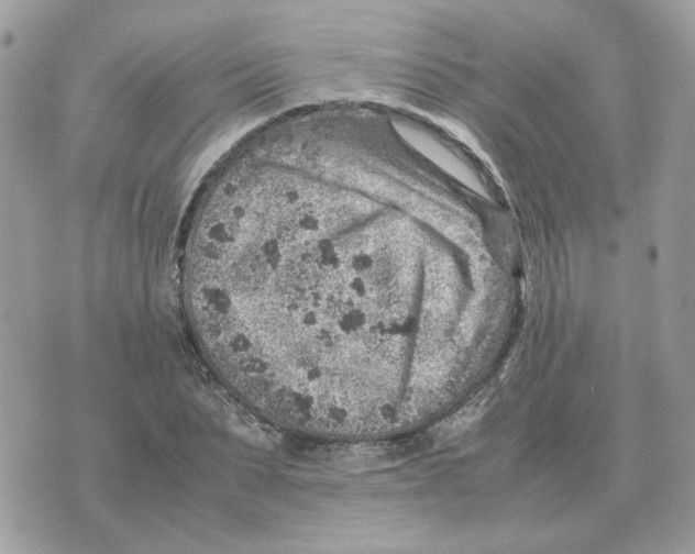 X0000070370879200607072126