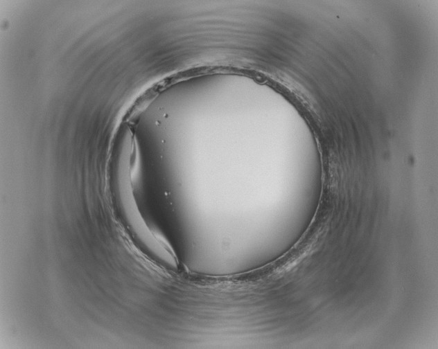 X0000070370880200607072126