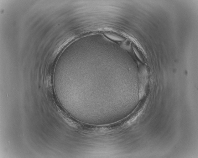 X0000070370881200607072126