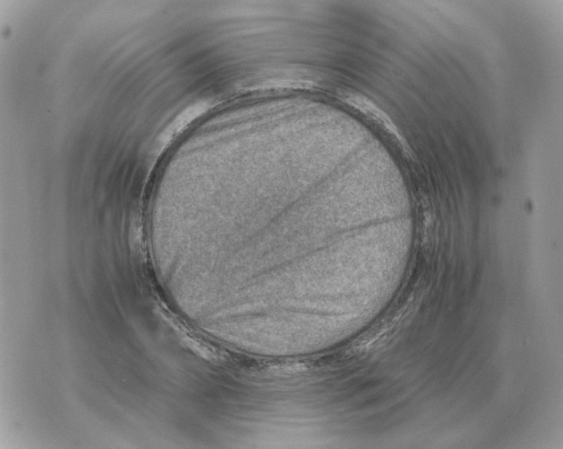 X0000070370882200607072126