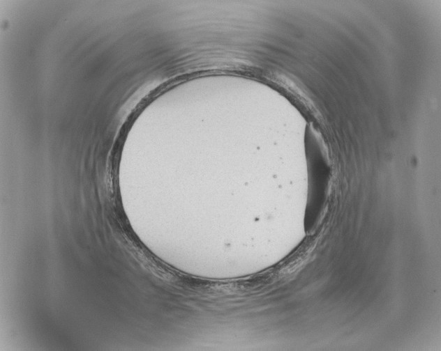 X0000070370883200607072126