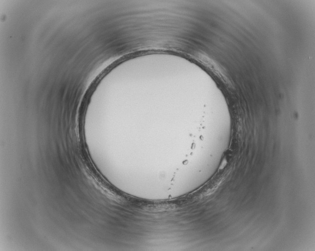 X0000070370884200607072126