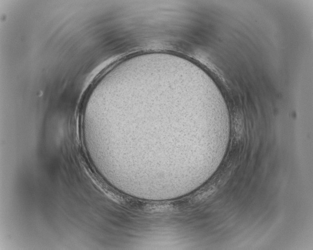 X0000070370886200607072125