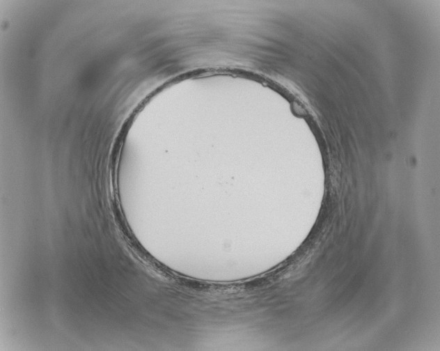 X0000070370887200607072125