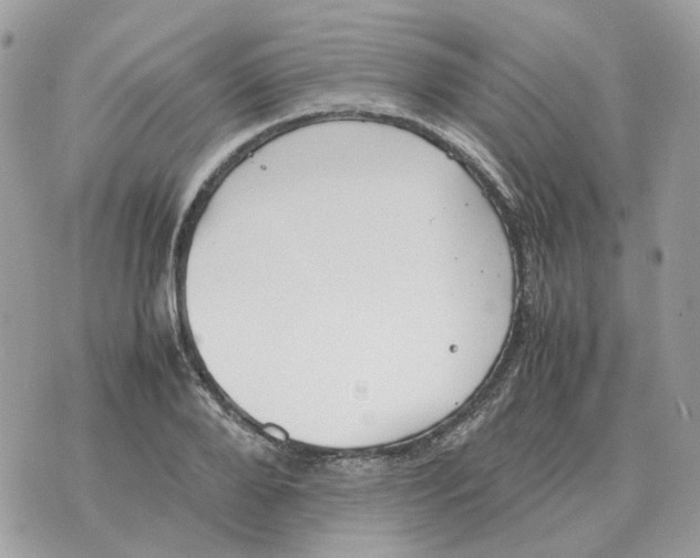 X0000070370888200607072125