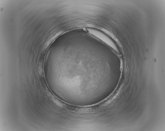 X0000070370889200607072125