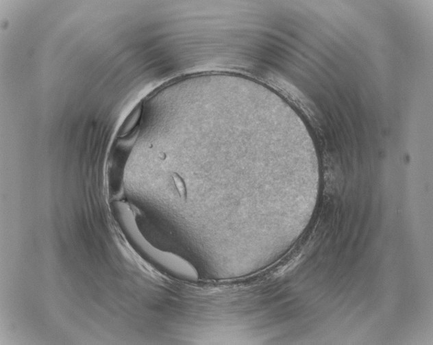 X0000070370892200607072125