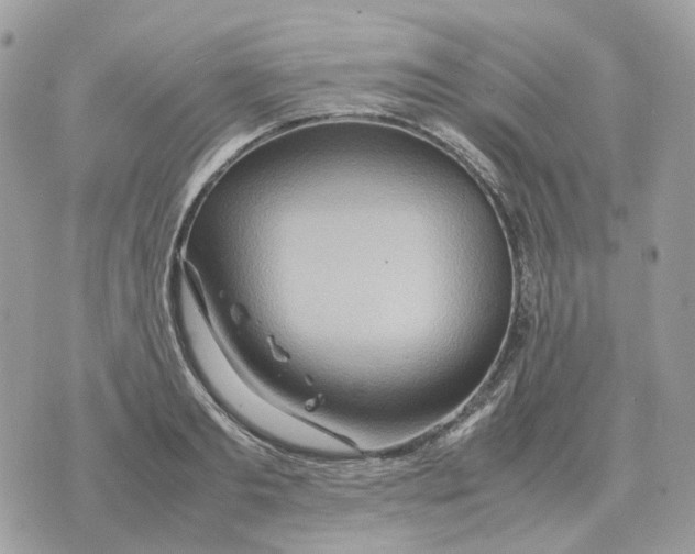 X0000070370893200607072125