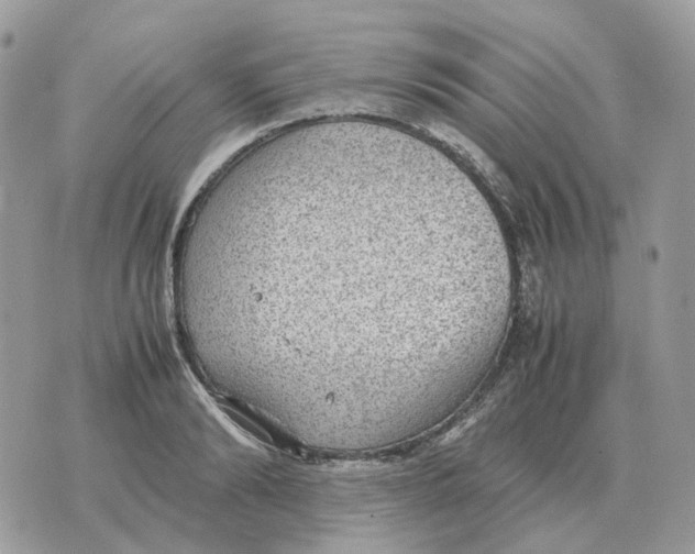 X0000070370894200607072125