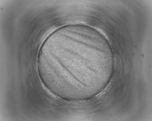 X0000070370895200607072125