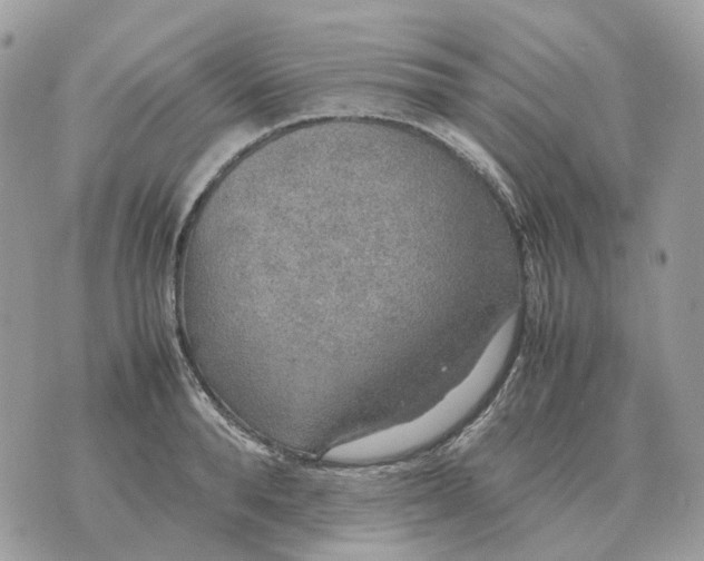 X0000070370896200607072125