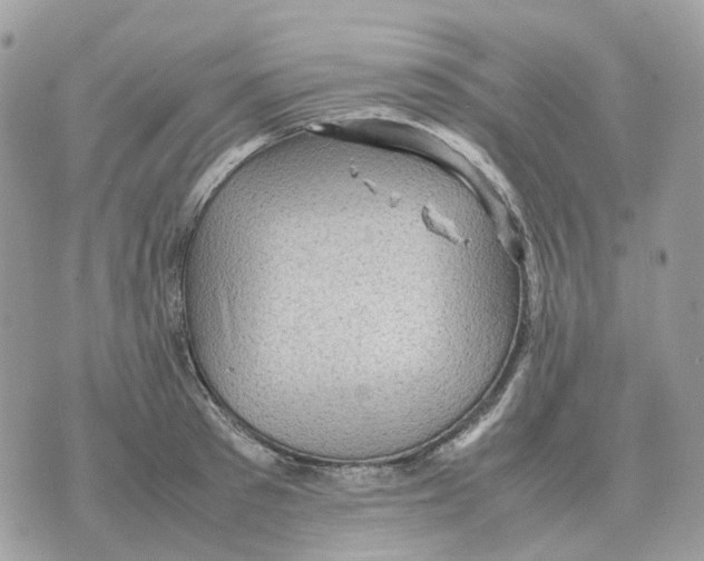 X0000070370897200607072125