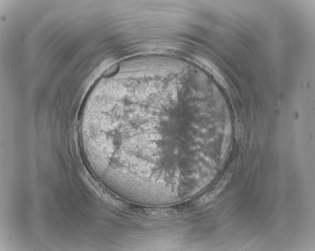 X0000070370899200607072125