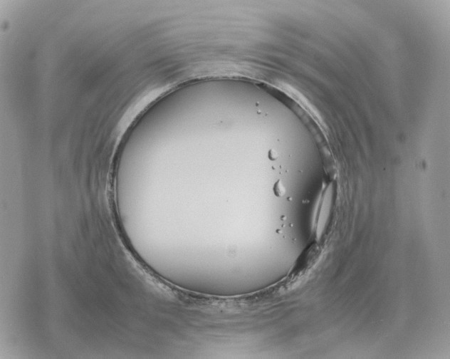 X0000070370901200607072125