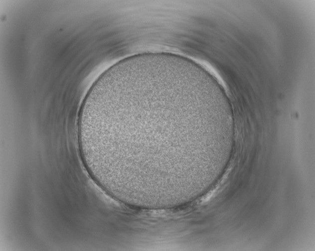 X0000070370903200607072125