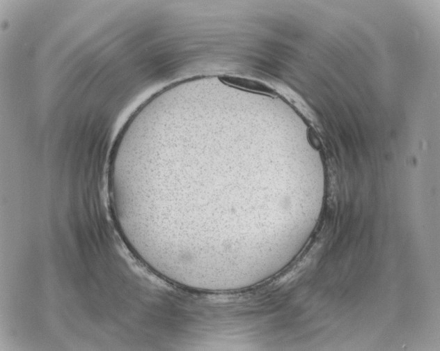 X0000070370904200607072125